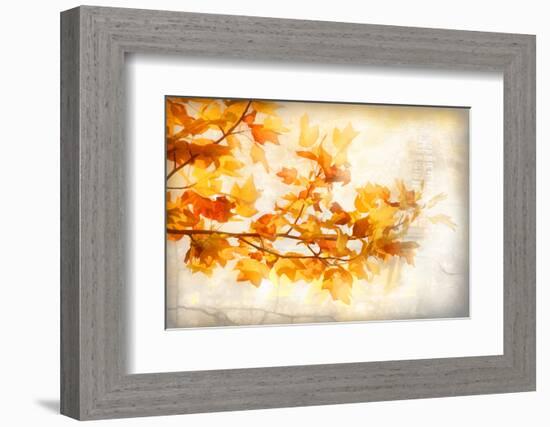 Autumn Rapture-Philippe Sainte-Laudy-Framed Photographic Print