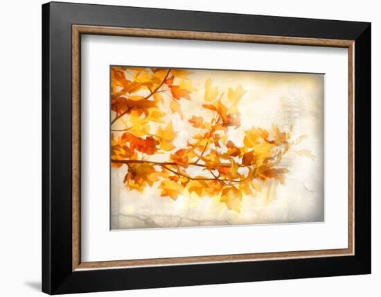 Autumn Rapture-Philippe Sainte-Laudy-Framed Photographic Print