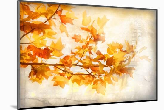 Autumn Rapture-Philippe Sainte-Laudy-Mounted Photographic Print