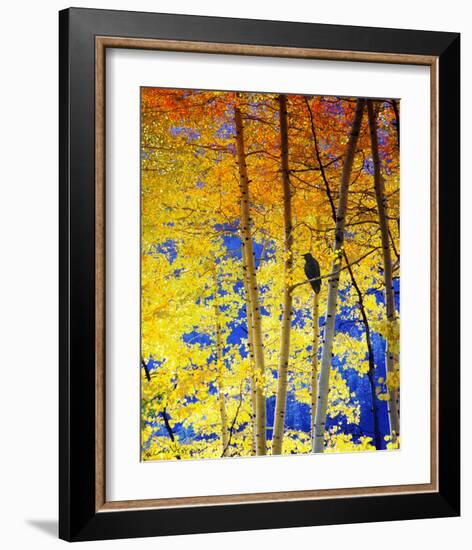 Autumn Raven-Chris Vest-Framed Art Print