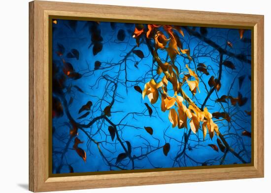 Autumn Recipes-Philippe Sainte-Laudy-Framed Premier Image Canvas