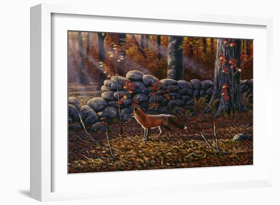 Autumn Reds - Red Fox-Wilhelm Goebel-Framed Giclee Print