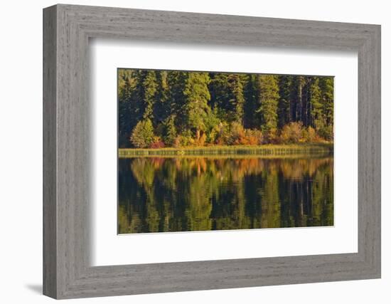 Autumn reflection, Fish Lake, Wenatchee National Forest, WA.-Michel Hersen-Framed Photographic Print