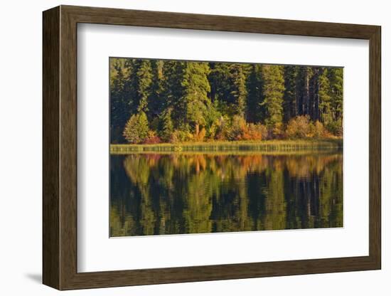 Autumn reflection, Fish Lake, Wenatchee National Forest, WA.-Michel Hersen-Framed Photographic Print