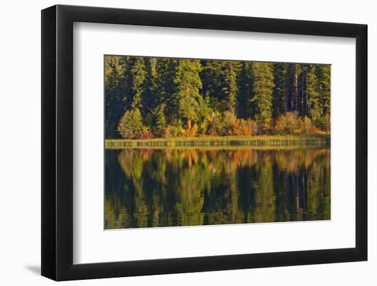 Autumn reflection, Fish Lake, Wenatchee National Forest, WA.-Michel Hersen-Framed Photographic Print