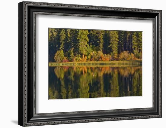 Autumn reflection, Fish Lake, Wenatchee National Forest, WA.-Michel Hersen-Framed Photographic Print