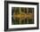 Autumn reflection, Fish Lake, Wenatchee National Forest, WA.-Michel Hersen-Framed Photographic Print