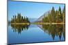 Autumn reflection, Lake Wenatchee, Wenatchee National Forest, WA.-Michel Hersen-Mounted Photographic Print