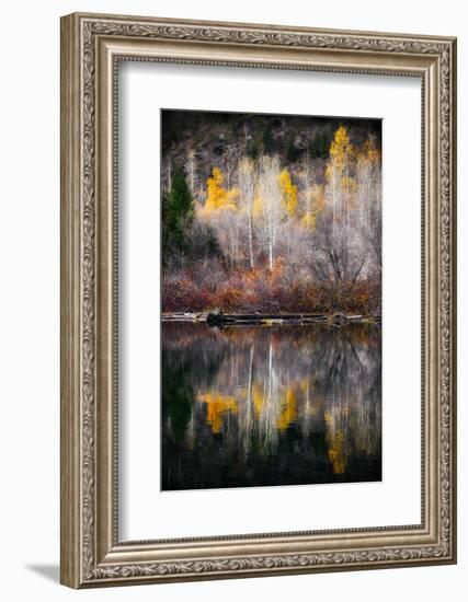 Autumn Reflection-Ursula Abresch-Framed Photographic Print