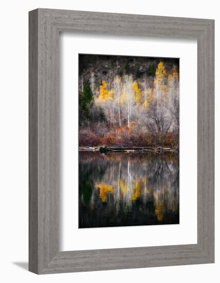 Autumn Reflection-Ursula Abresch-Framed Photographic Print