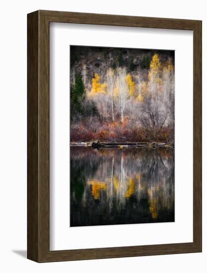 Autumn Reflection-Ursula Abresch-Framed Photographic Print