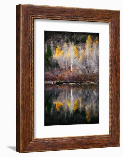 Autumn Reflection-Ursula Abresch-Framed Photographic Print