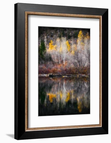 Autumn Reflection-Ursula Abresch-Framed Photographic Print