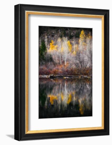 Autumn Reflection-Ursula Abresch-Framed Photographic Print