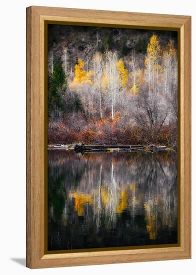 Autumn Reflection-Ursula Abresch-Framed Premier Image Canvas