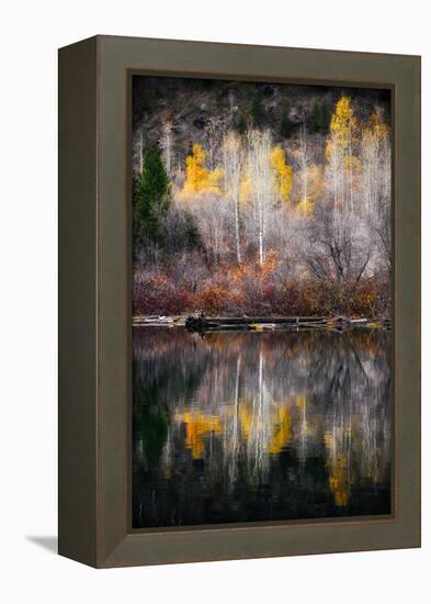 Autumn Reflection-Ursula Abresch-Framed Premier Image Canvas