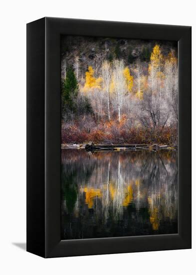 Autumn Reflection-Ursula Abresch-Framed Premier Image Canvas