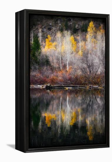 Autumn Reflection-Ursula Abresch-Framed Premier Image Canvas