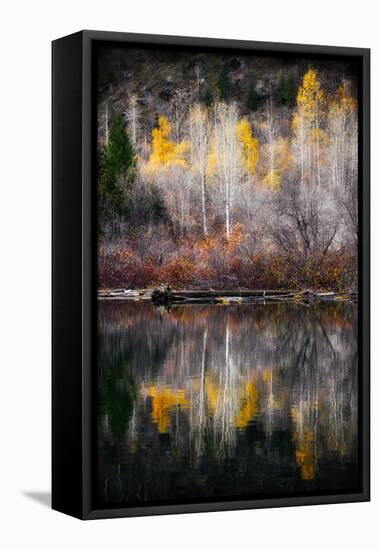 Autumn Reflection-Ursula Abresch-Framed Premier Image Canvas