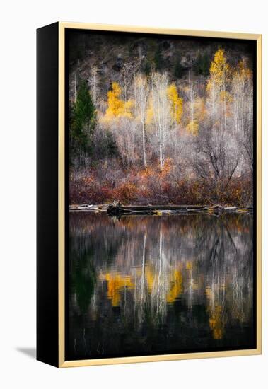 Autumn Reflection-Ursula Abresch-Framed Premier Image Canvas