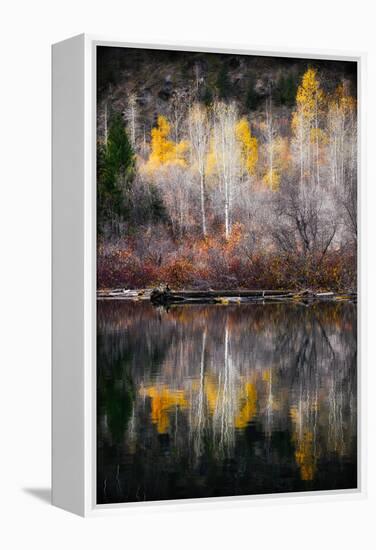 Autumn Reflection-Ursula Abresch-Framed Premier Image Canvas