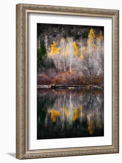 Autumn Reflection-Ursula Abresch-Framed Photographic Print