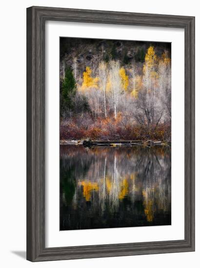 Autumn Reflection-Ursula Abresch-Framed Photographic Print