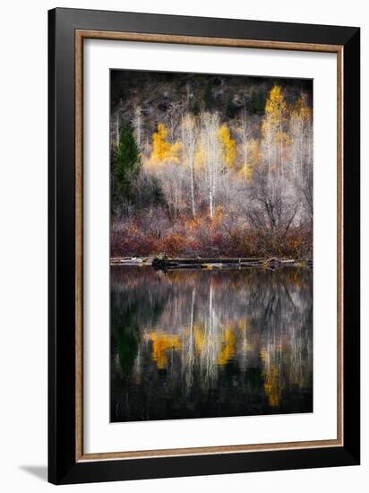 Autumn Reflection-Ursula Abresch-Framed Photographic Print