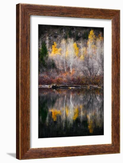 Autumn Reflection-Ursula Abresch-Framed Premium Photographic Print