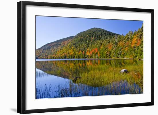 Autumn Reflections, Bubble Pond, Acadia National Park, Maine, Usa-Michel Hersen-Framed Photographic Print