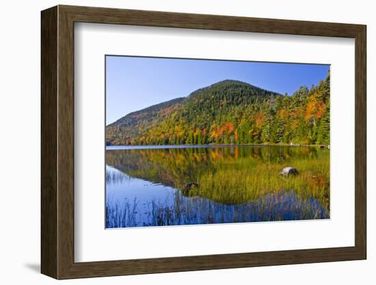 Autumn Reflections, Bubble Pond, Acadia National Park, Maine, Usa-Michel Hersen-Framed Photographic Print