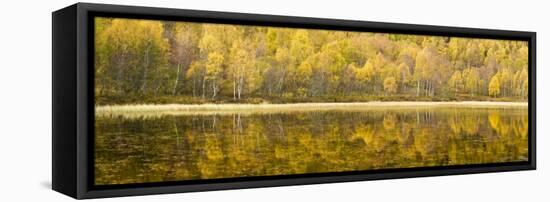 Autumn Reflections, Cairngorms National Park, Highlands, Scotland, UK-Nadia Isakova-Framed Premier Image Canvas