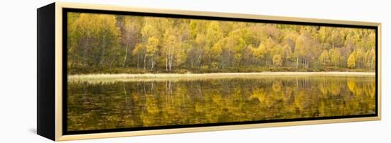 Autumn Reflections, Cairngorms National Park, Highlands, Scotland, UK-Nadia Isakova-Framed Premier Image Canvas
