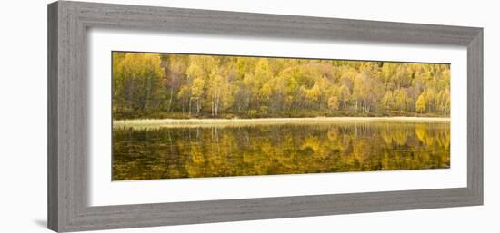 Autumn Reflections, Cairngorms National Park, Highlands, Scotland, UK-Nadia Isakova-Framed Photographic Print