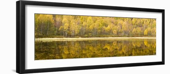 Autumn Reflections, Cairngorms National Park, Highlands, Scotland, UK-Nadia Isakova-Framed Photographic Print