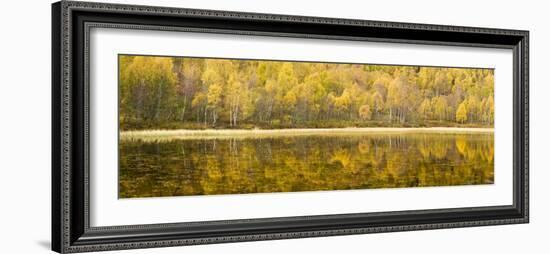 Autumn Reflections, Cairngorms National Park, Highlands, Scotland, UK-Nadia Isakova-Framed Photographic Print