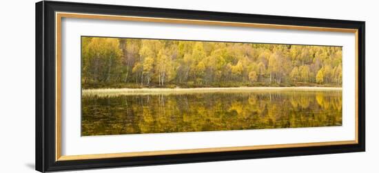 Autumn Reflections, Cairngorms National Park, Highlands, Scotland, UK-Nadia Isakova-Framed Photographic Print