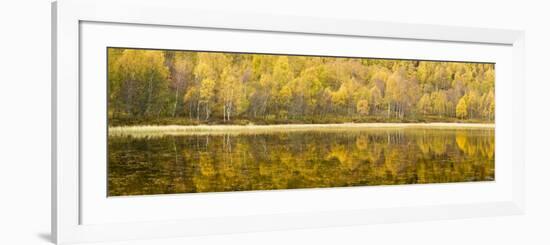 Autumn Reflections, Cairngorms National Park, Highlands, Scotland, UK-Nadia Isakova-Framed Photographic Print