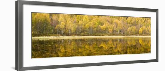 Autumn Reflections, Cairngorms National Park, Highlands, Scotland, UK-Nadia Isakova-Framed Photographic Print