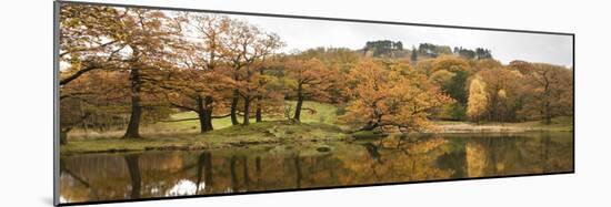 Autumn Reflections I-Joseph Eta-Mounted Giclee Print