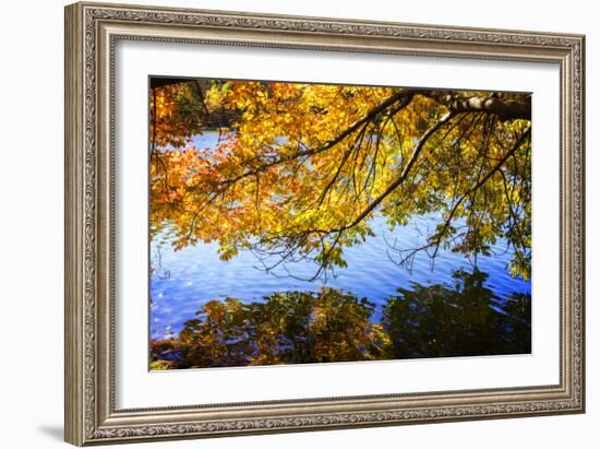 Autumn Reflections I-Alan Hausenflock-Framed Photographic Print