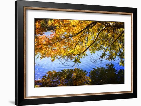 Autumn Reflections I-Alan Hausenflock-Framed Photographic Print