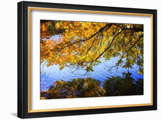 Autumn Reflections I-Alan Hausenflock-Framed Photographic Print