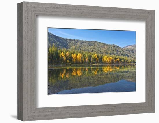 Autumn reflections, Lake Wenatchee, Wenatchee National Forest, Washington State, USA-Michel Hersen-Framed Photographic Print