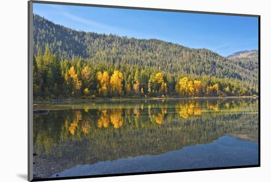 Autumn reflections, Lake Wenatchee, Wenatchee National Forest, Washington State, USA-Michel Hersen-Mounted Photographic Print