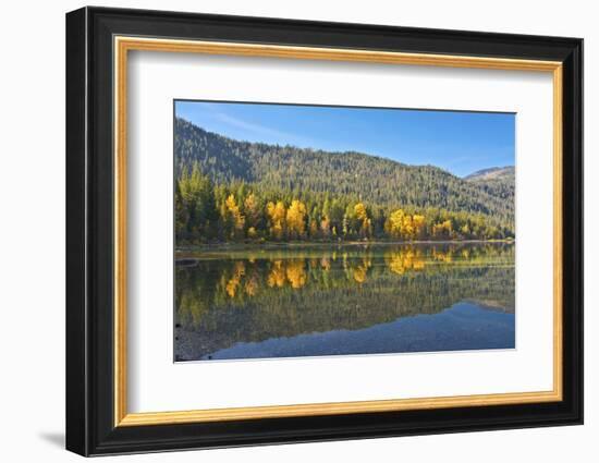 Autumn reflections, Lake Wenatchee, Wenatchee National Forest, Washington State, USA-Michel Hersen-Framed Photographic Print