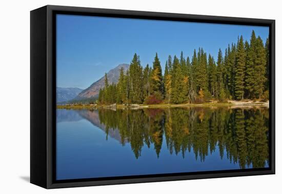 Autumn reflections, Lake Wenatchee, Wenatchee National Forest, Washington State, USA-Michel Hersen-Framed Premier Image Canvas