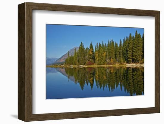 Autumn reflections, Lake Wenatchee, Wenatchee National Forest, Washington State, USA-Michel Hersen-Framed Photographic Print