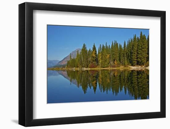 Autumn reflections, Lake Wenatchee, Wenatchee National Forest, Washington State, USA-Michel Hersen-Framed Photographic Print