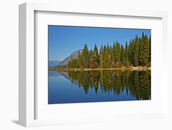 Autumn reflections, Lake Wenatchee, Wenatchee National Forest, Washington State, USA-Michel Hersen-Framed Photographic Print